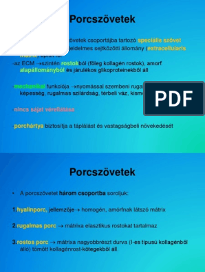 kötőszövet porc szerkezete)