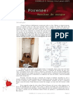 2007jan_forense2.pdf
