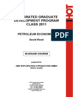 Petroleum Economics PDF