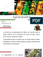 Agroindustrial Prensentacion Maribel Ramirez
