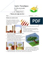 tecnica_lapis_cor.pdf