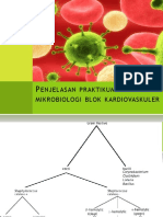 Enjelasan Praktikum Mikrobiologi Blok Kardiovaskuler