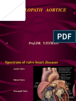 Valvulopatii Aortice - Rom