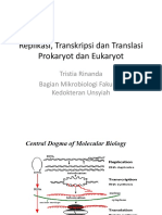 Kuliah Replikasi, Transkripsi Dan Translasi PDF