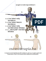 Oszteoterapia