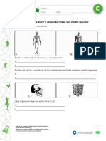 Guia cuerpo huesos y musculos 5°.pdf