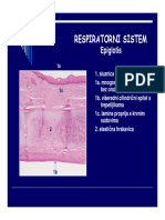 Respiratorni Sistem PDF
