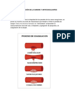 Coagulación sanguínea, anticoagulantes y sus mecanismos