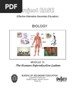 Biology M13 Human Reproductive System