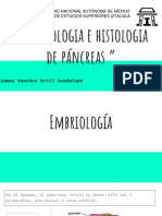 Histología y embriología de Páncreas