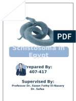 Schistosoma in Egypt: Prepared By: 407-417 Supervised by