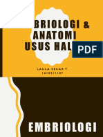 Embriologi & Anatomi Usus Halus