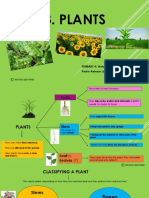 Unit-3-Plants (1).pdf