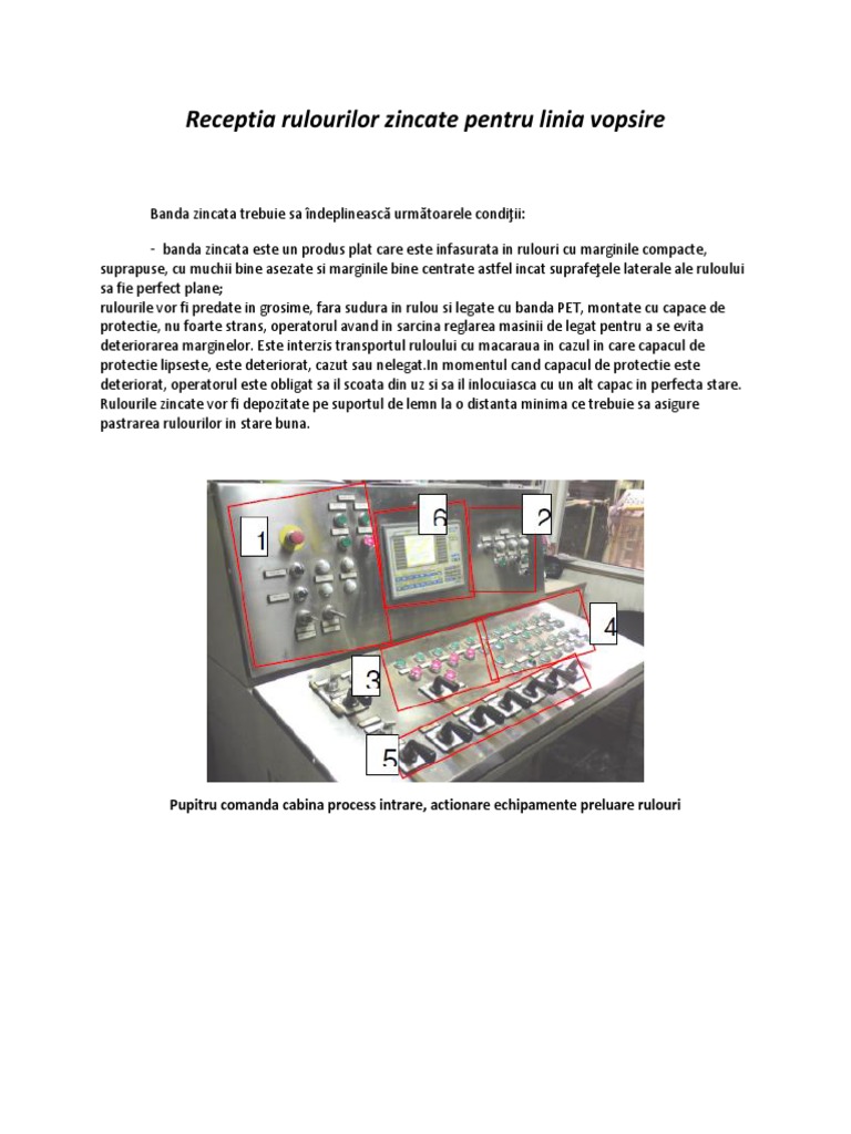 Tematica Procesare Rulouri Vopsire | PDF