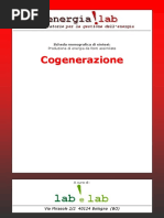 Cogenerazione PDF