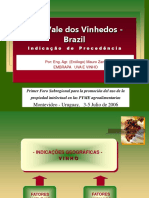 Case_vale_dos_vinhedos.ppt