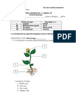 Diagnostico Ciencias Naturales