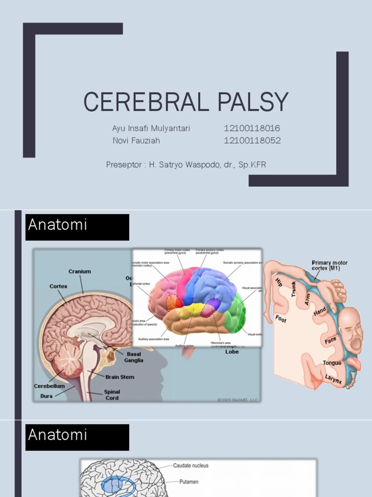 Classification, Etiology, Clinical Manifestations and Diagnosis of