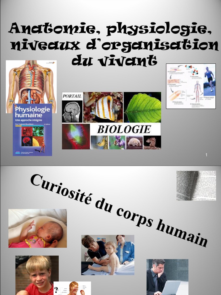 Anatomie, Physiologie, Niveaux D'organisation Du Vivant | Physiologie ...