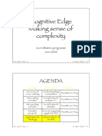 Cognitive Edge Making Sense of Complexity: Agenda