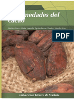 124 ENFERMEDADES DEL CACAO.pdf