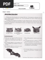 Hipónimos e Hiperónimos Rafaela Hoje