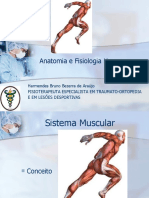 Aula de Anatomia 5 Musculos-2