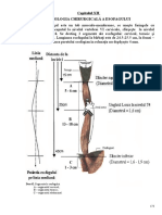 Anatomie. Esofagul Este Un Tub Musculo-Membranos, Ce Uneşte Faringele Cu