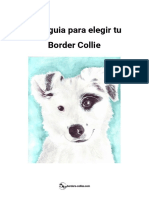 LaguiaparaelegirtuBorderCollie