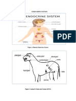 Nervous System Report