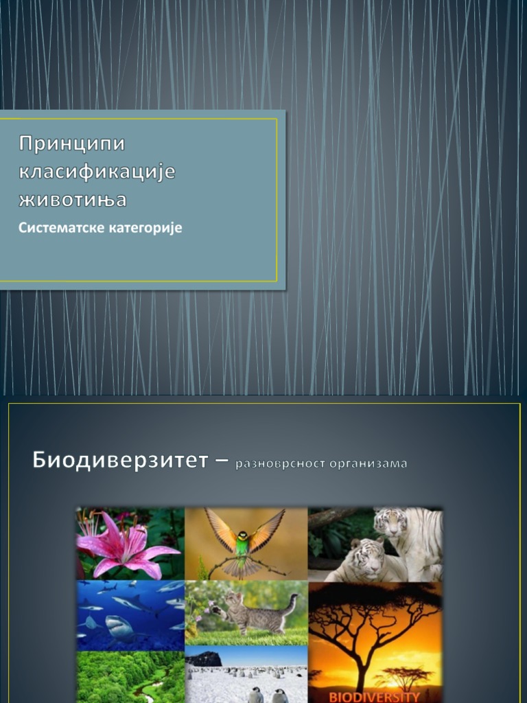 Biodiverzitet | PDF