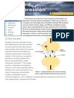 Biology of Depression