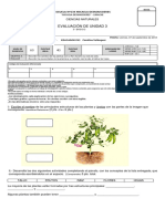 Evaluación ciencias unidad plantas.docx