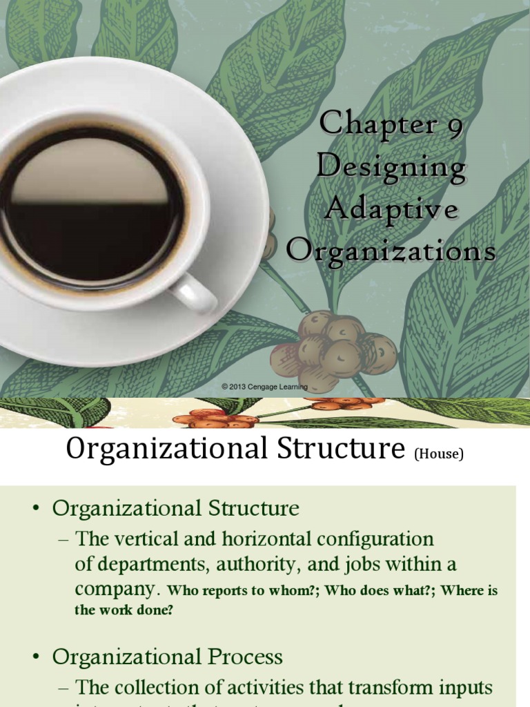 Designing Adaptive Organizations Pdf Employment Psychological
