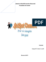62073775-Plan-de-Afaceri-Spalatorie-SpitSpot-Cleaners.doc