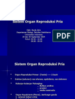 sistemorgan.ppt