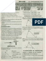 009 - TRIANGULO RECTILINEO.pdf