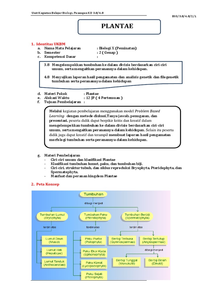 Ukb Bio 3 8 Plantae New