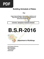 BSR 2016-Renovation PDF