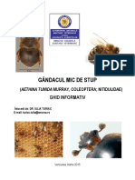 Ghid-Aethina-tumida-RO.pdf