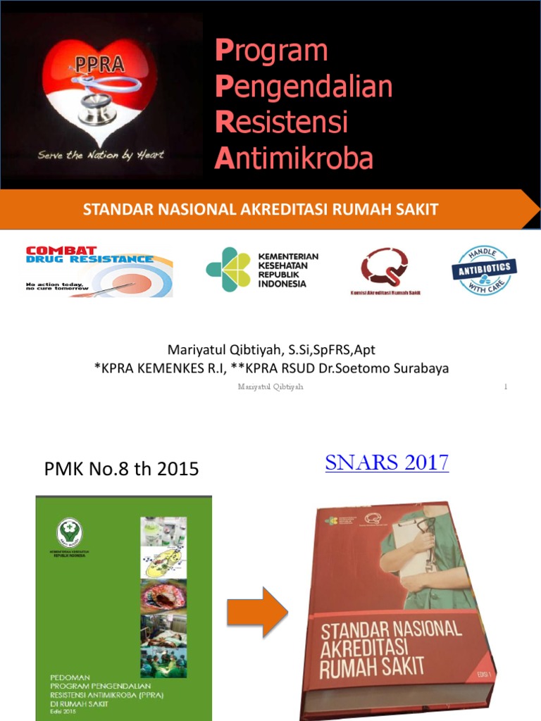 Pedoman Program PPRA Rumah Sakit | PDF | Sains & Matematika