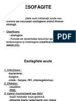 Curs 1 - Esofagite, Gastrite, Ulcer Gastric Si Duodenal PDF