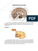 Histologi Otak