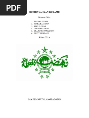 Yayasan Pendidikan Darul Fikri