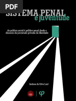 sistema penal e juventude - livro.pdf