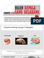 Kecederaan Kepala Dan Tulang Belakang