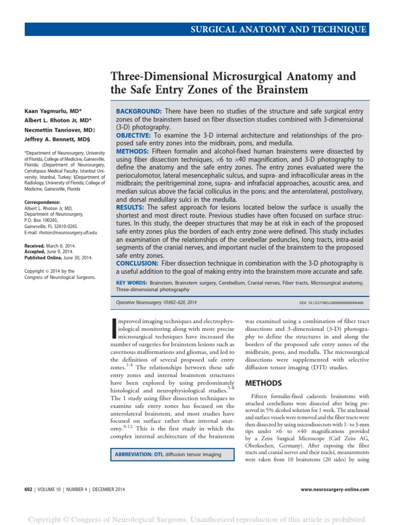 Three Dimensional Microsurgical Anatomy PDF | PDF | Brainstem | Cerebellum