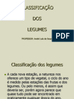 CLASSIFICAÇÃO DOS LEGUMES.pdf