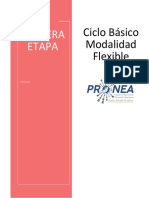 Basico1 A Opt PDF