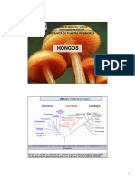 Hongos- Liquenes